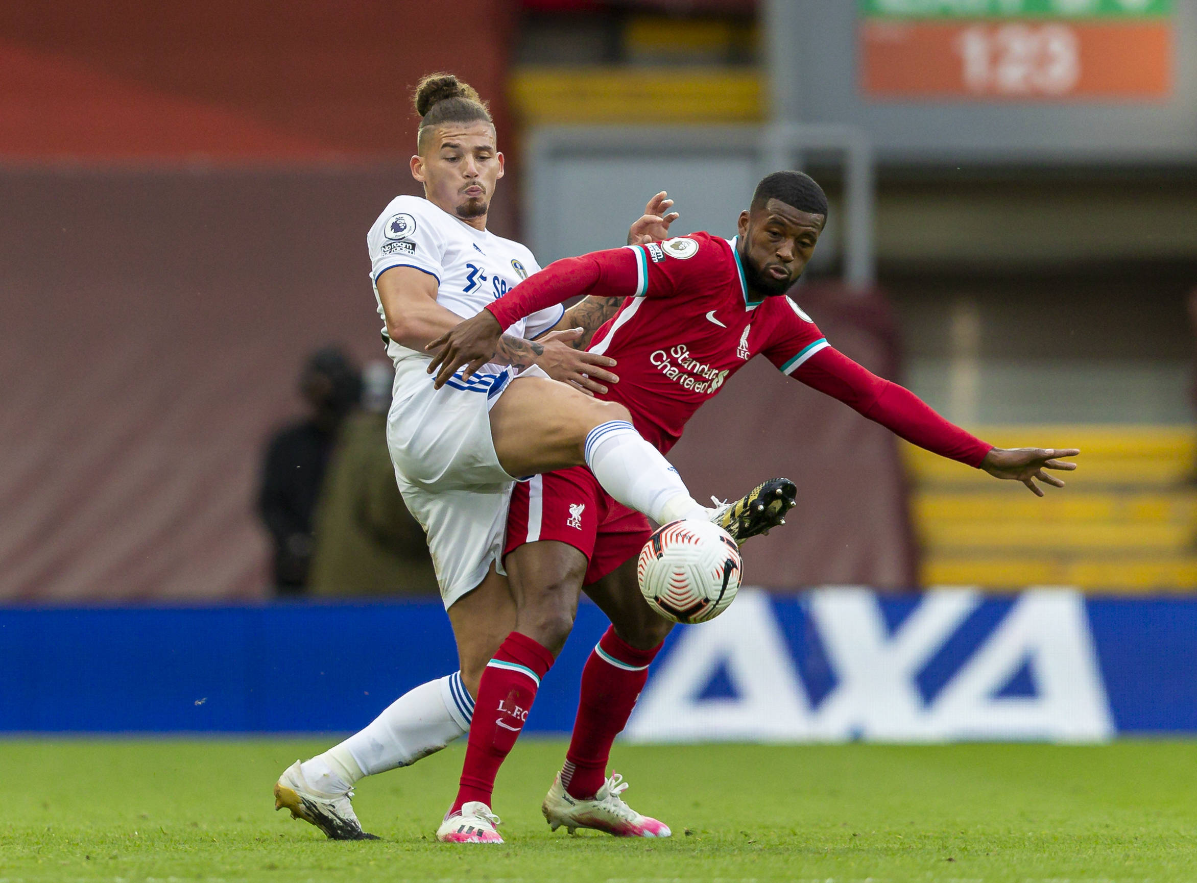 使其逐渐成 使其逐渐成